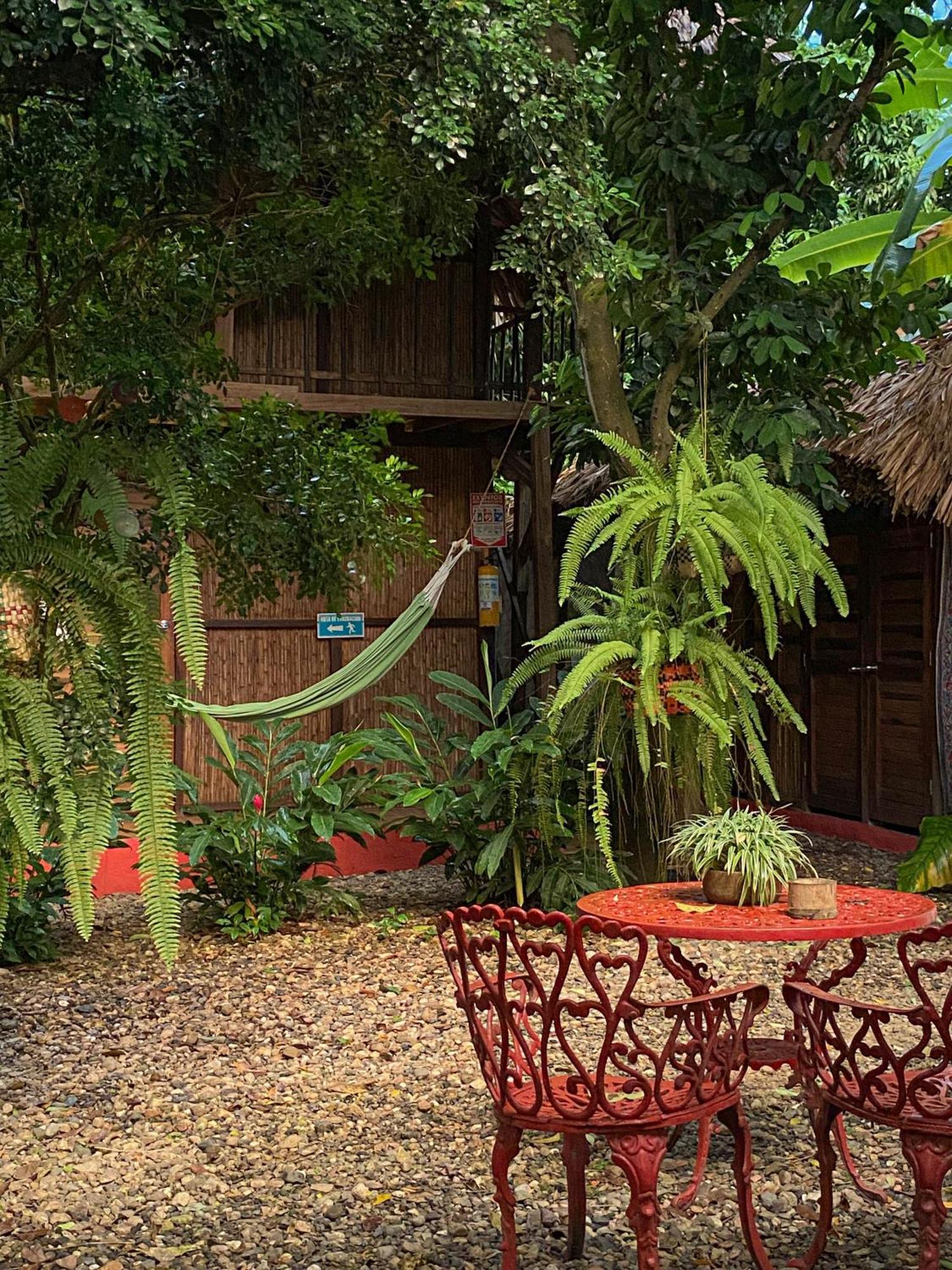 Hostal Zinpar Palomino Εξωτερικό φωτογραφία