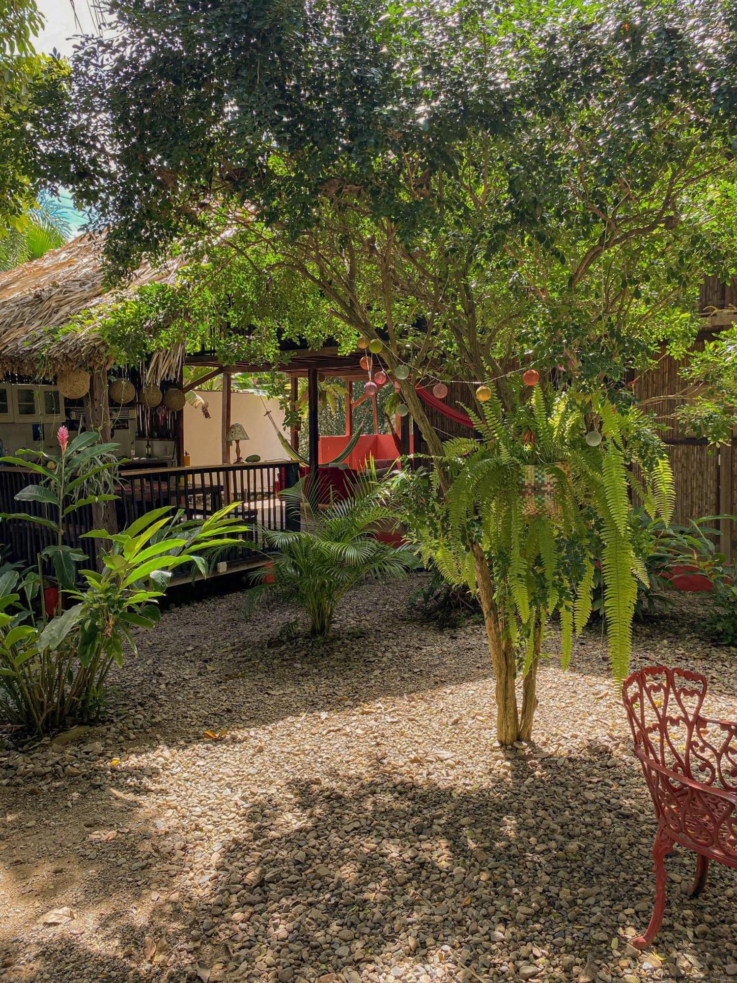 Hostal Zinpar Palomino Εξωτερικό φωτογραφία